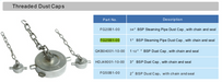 1%22 BSP dust cap with chain and PTFE Seal