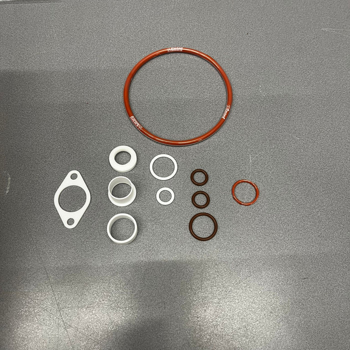 seal kit for 4" cleanflow foot  valve (pneumatic & manual)