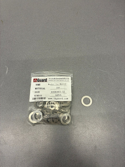 Washer for manlid
