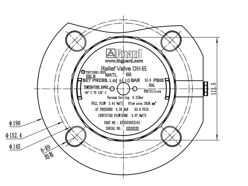 AF6503652101 - Relief valve DN65 3.65bar + Vacuum