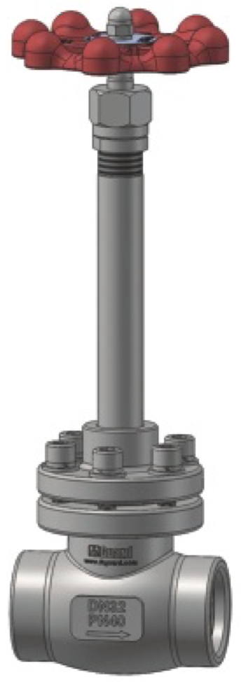 Cryogenic Globe Valve