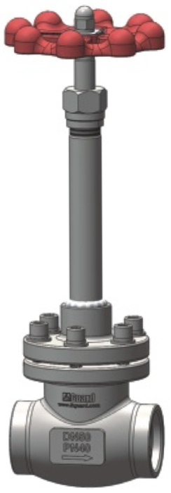 Cryogenic Globe Valve