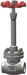 Cryogenic Globe Valve