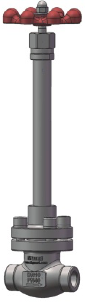 Cryogenic Globe Valve